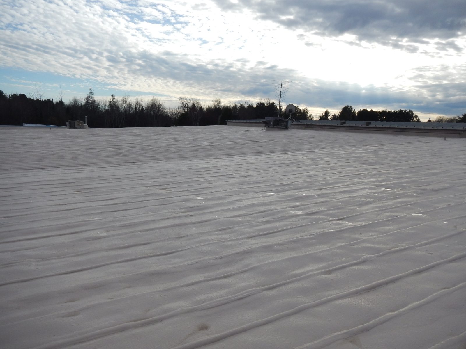 Metal roof panel laps and fasteners primed before coating